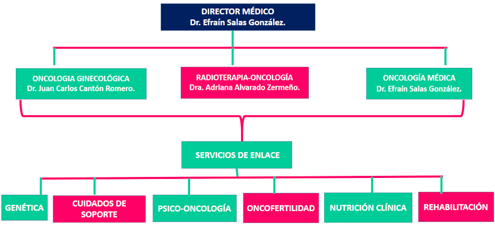 Organigrama